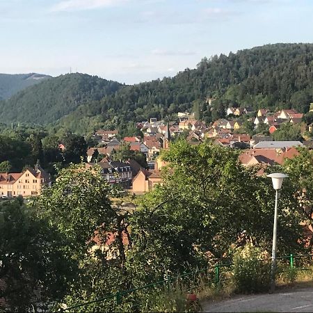 Chez Jose Διαμέρισμα Rothau Εξωτερικό φωτογραφία
